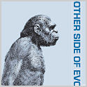 The Other Side of Evolution book cover
